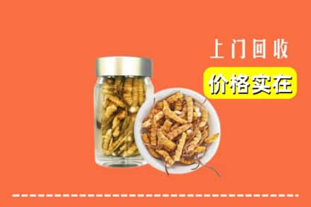 收购资讯:邵阳邵东市回收散虫草