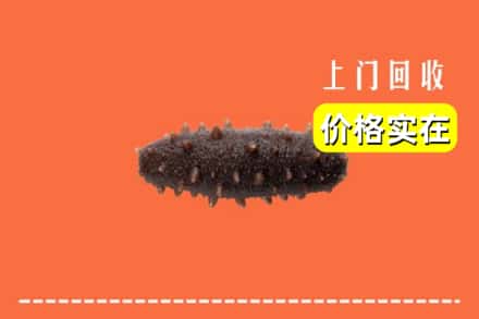 收购资讯:邵阳邵东市回收海参